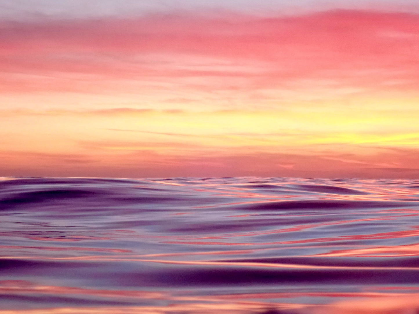 Pink Sunset
